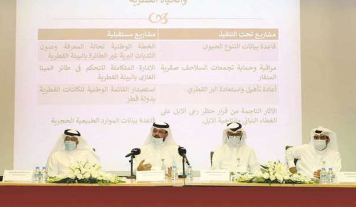 Director reviews Protection and Wildlife Department achievements and projects
